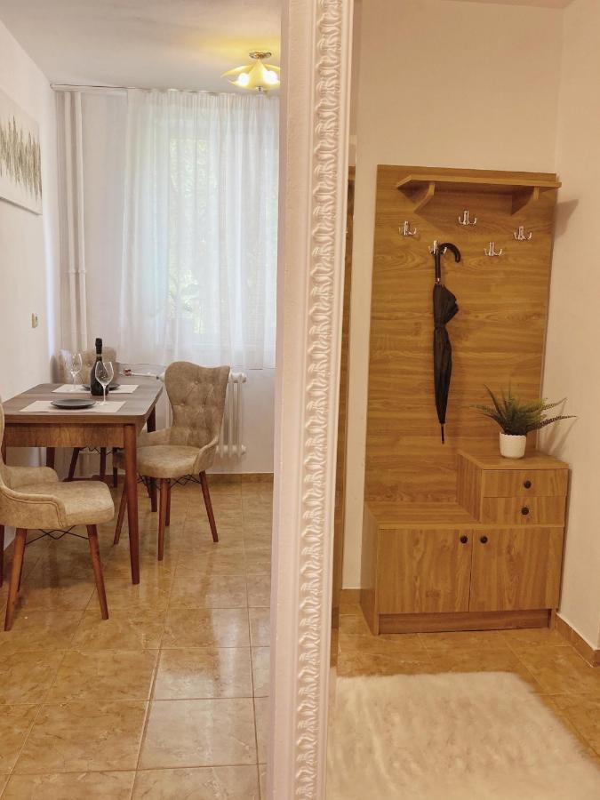 Timisoara Central Apartament Leilighet Eksteriør bilde