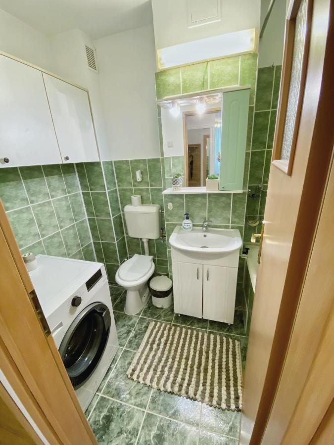 Timisoara Central Apartament Leilighet Eksteriør bilde