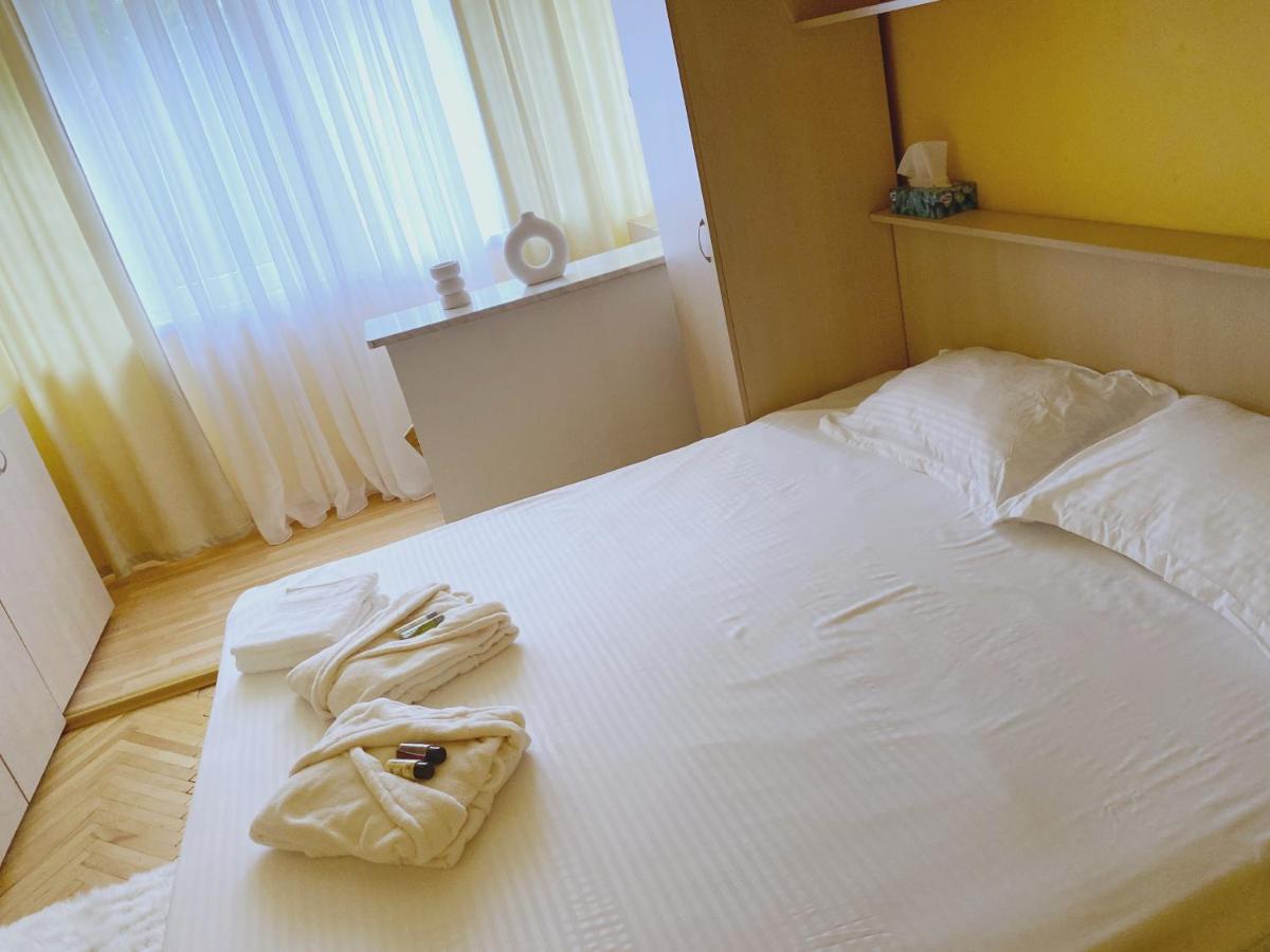 Timisoara Central Apartament Leilighet Eksteriør bilde